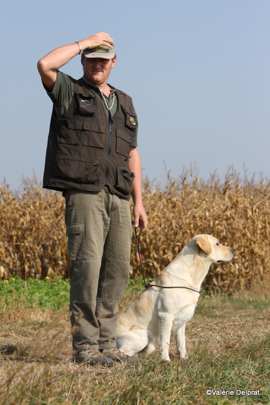 Field Erstein 09 (22).JPG